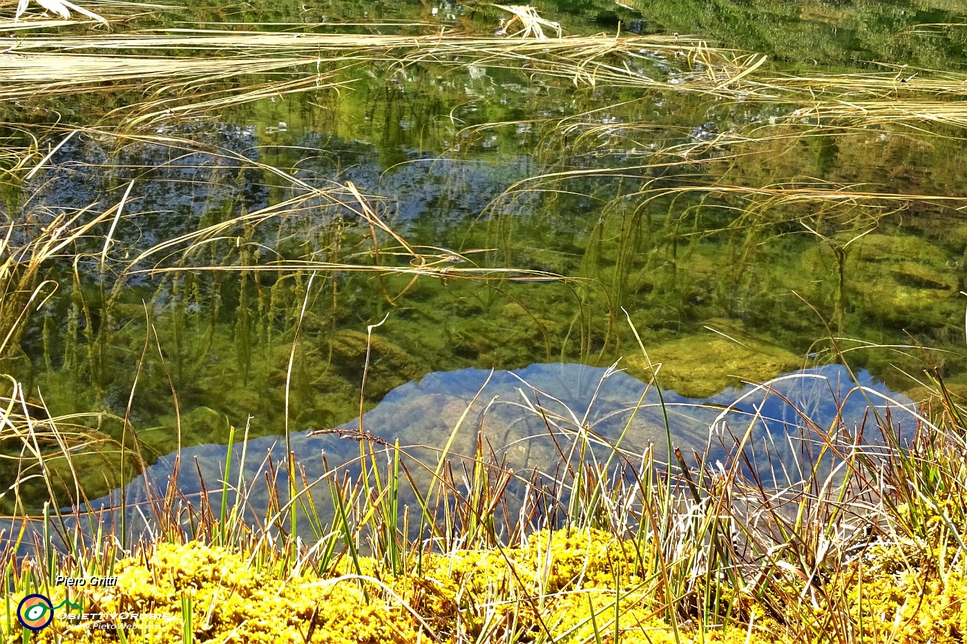 52 Lago Piccolo ricoperto in gran parte da erbe acquatiche.JPG